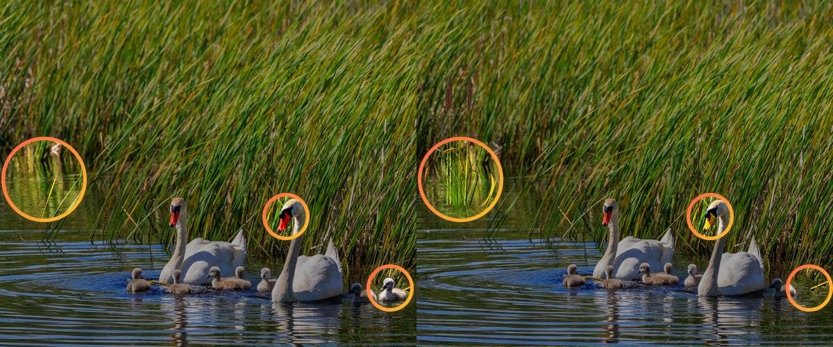 Norėdami išspręsti galvosūkį, turėjote atkreipti dėmesį į smulkmenas / Moje koliažas