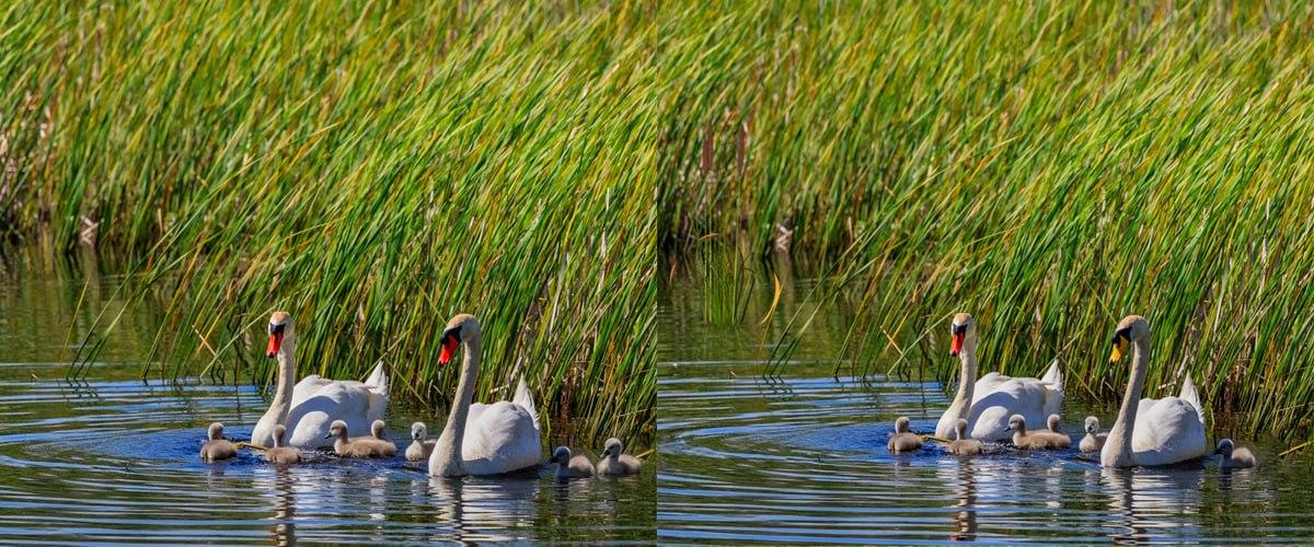 Labai greitai raskite skirtumus tarp brėžinių / koliažo Moje