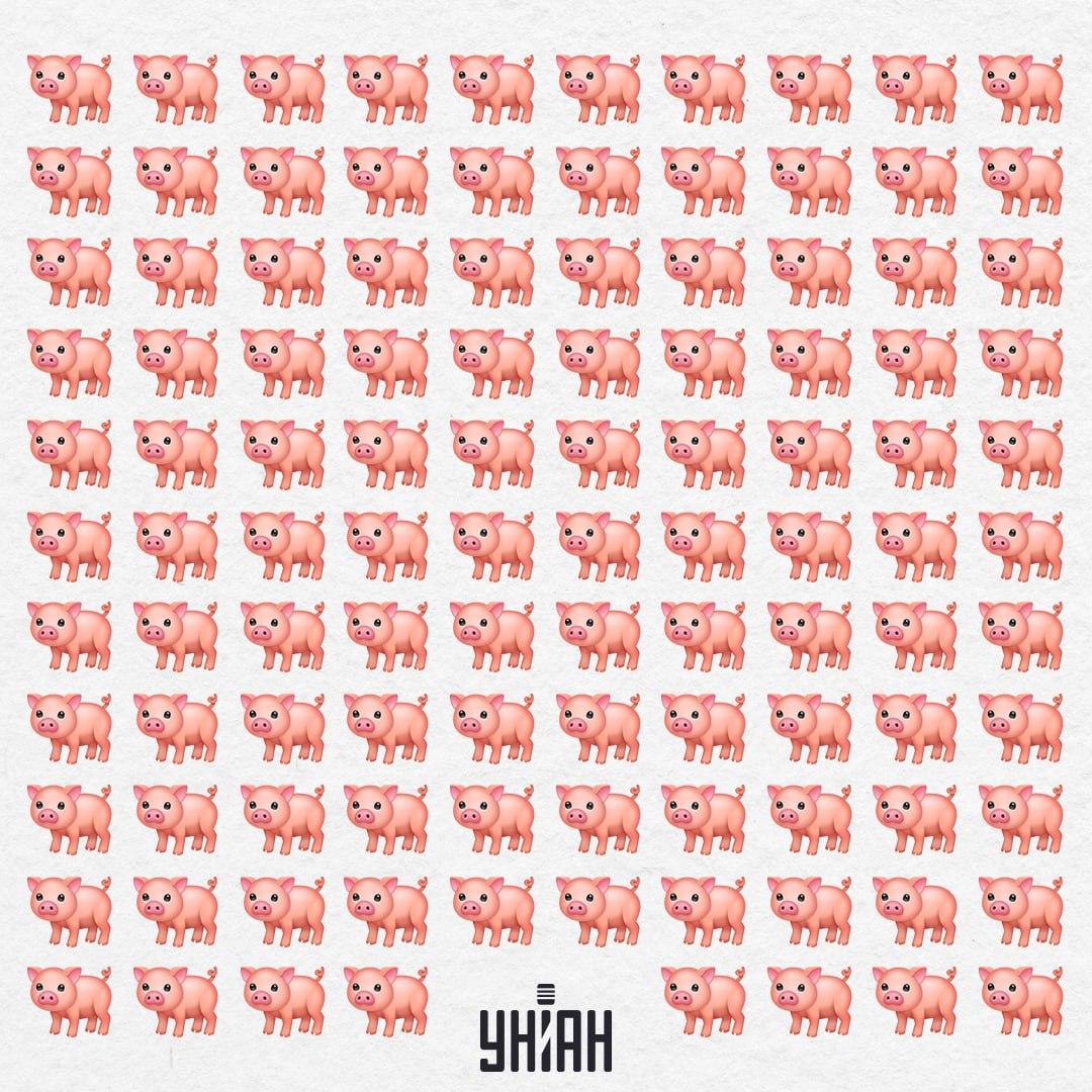 Mūsų kiaulė yra kažkur, ji taip lengvai nepatrauks jūsų akių / Moje koliažas