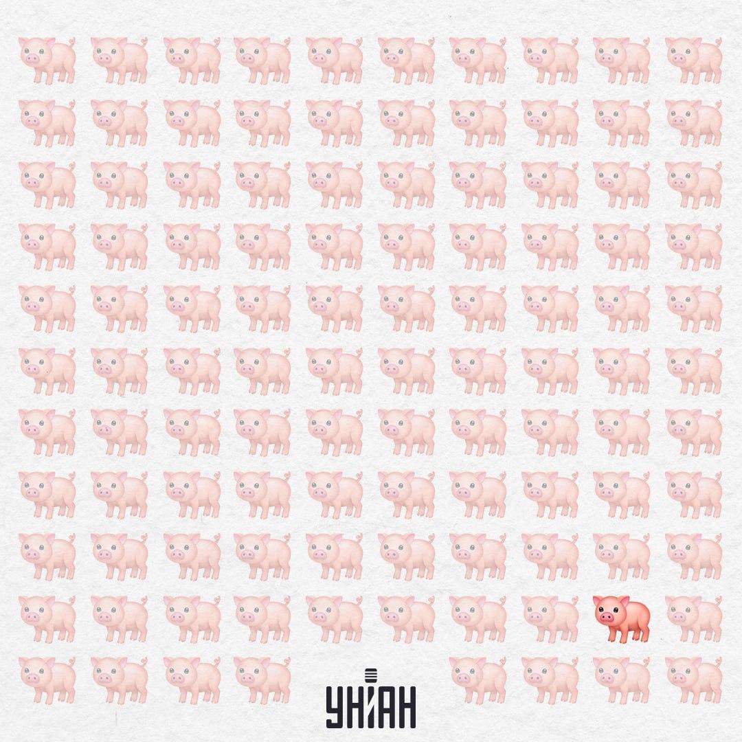 Ši kiaulė tikrai keista, ji neturi rausvos uodegos / Koliažas Moje