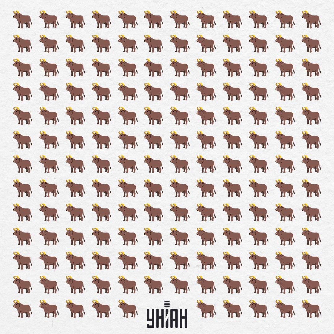 Čia jų yra 154, bet vienas ne toks – turėtumėte pamatyti per 10 sekundžių / Koliažas Moje