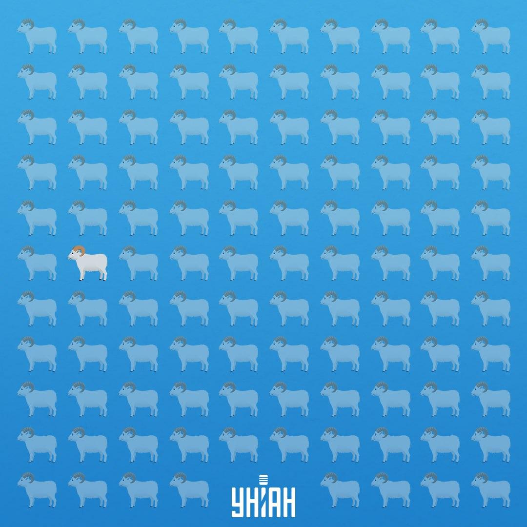 Jis buvo septintoje eilutėje kairėje pusėje / Moje koliažas