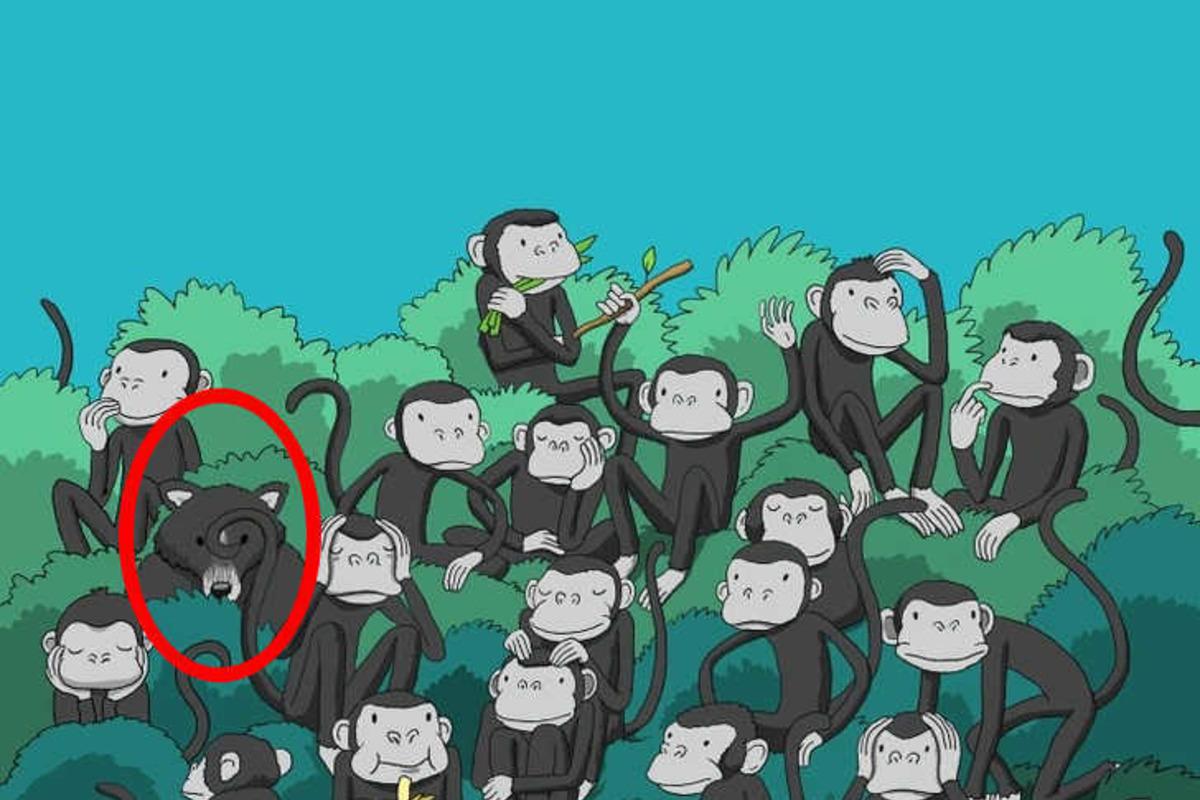 Pabandykite išspręsti galvosūkį per kelias sekundes / Bright Side piešinys