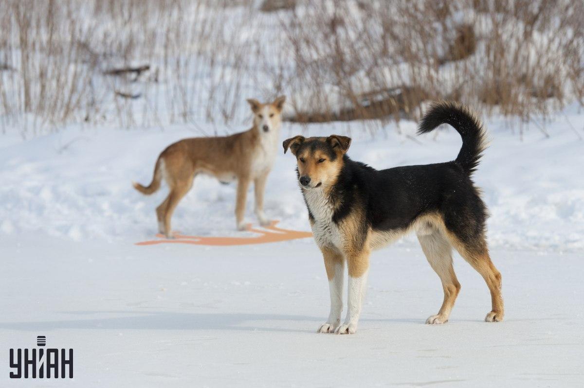 Nuotraukoje neteisingai pavaizduotas vienas iš šešėlių / koliažas su nuotrauka Moje