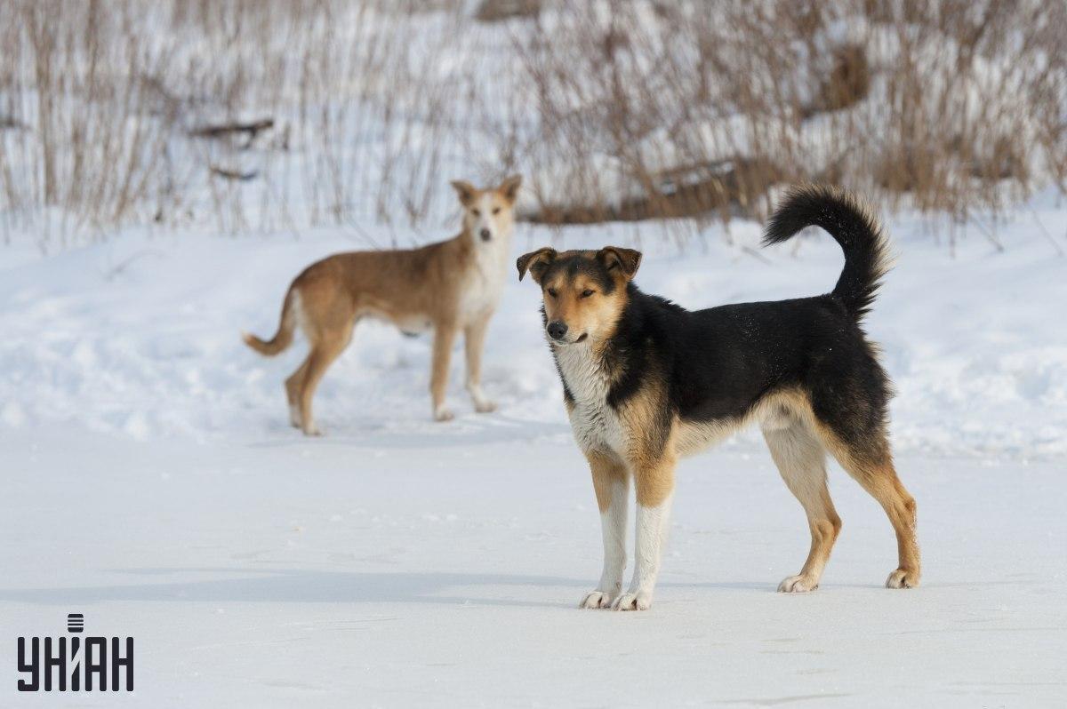 Pabandykite per 8 sekundes suprasti, kas negerai dėlionės nuotraukoje / koliaže su nuotraukomis Moje