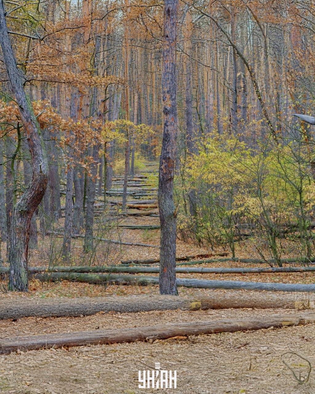 nuotrauka Moje, Falin Vladimir