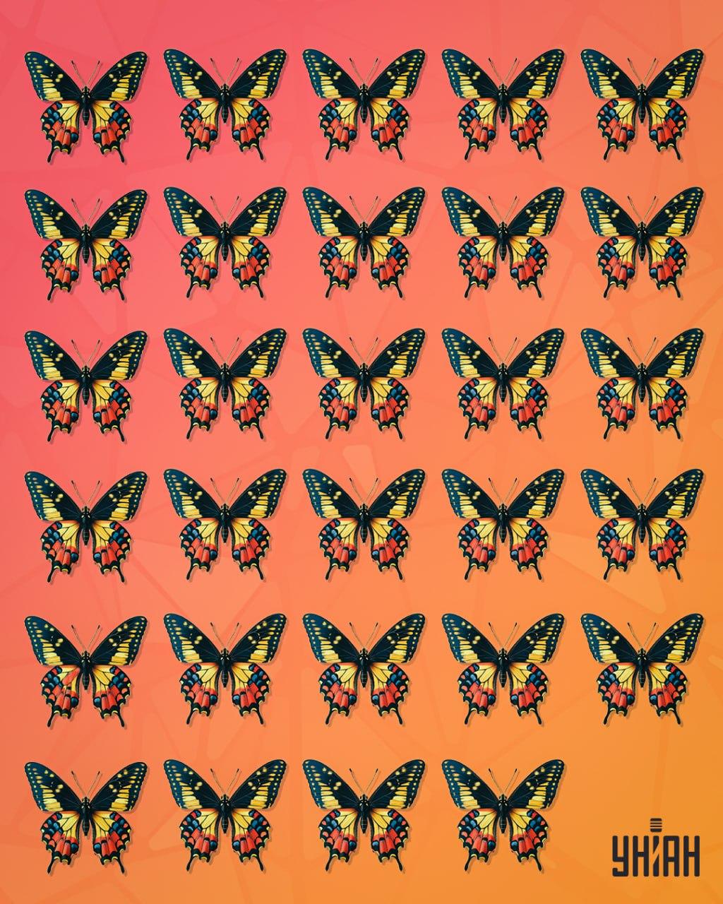 Turėtumėte ieškoti drugelio, kurį galima pavadinti keistu / Moje koliažu Turėtumėte ieškoti drugelio, kurį galima pavadinti keistu / Moje koliažu