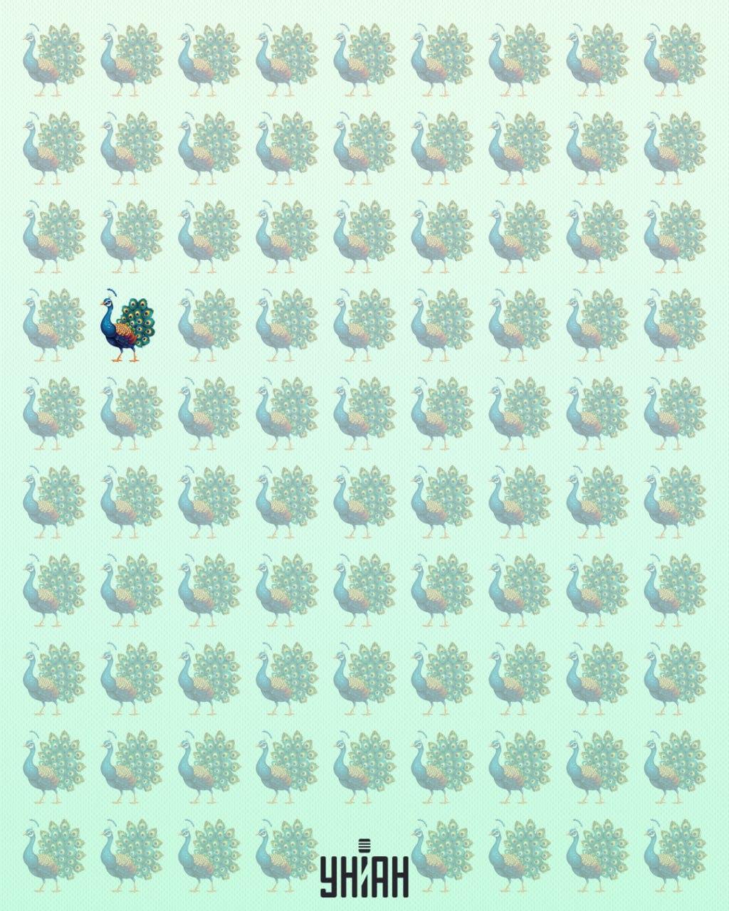 Ekscentriškas povas buvo dešinėje optinės mįslės / Moje koliažo pusėje