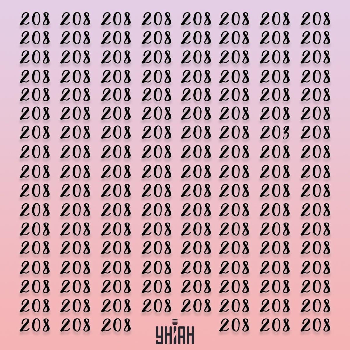 Galvosūkio iliuzija su skaičiais 208