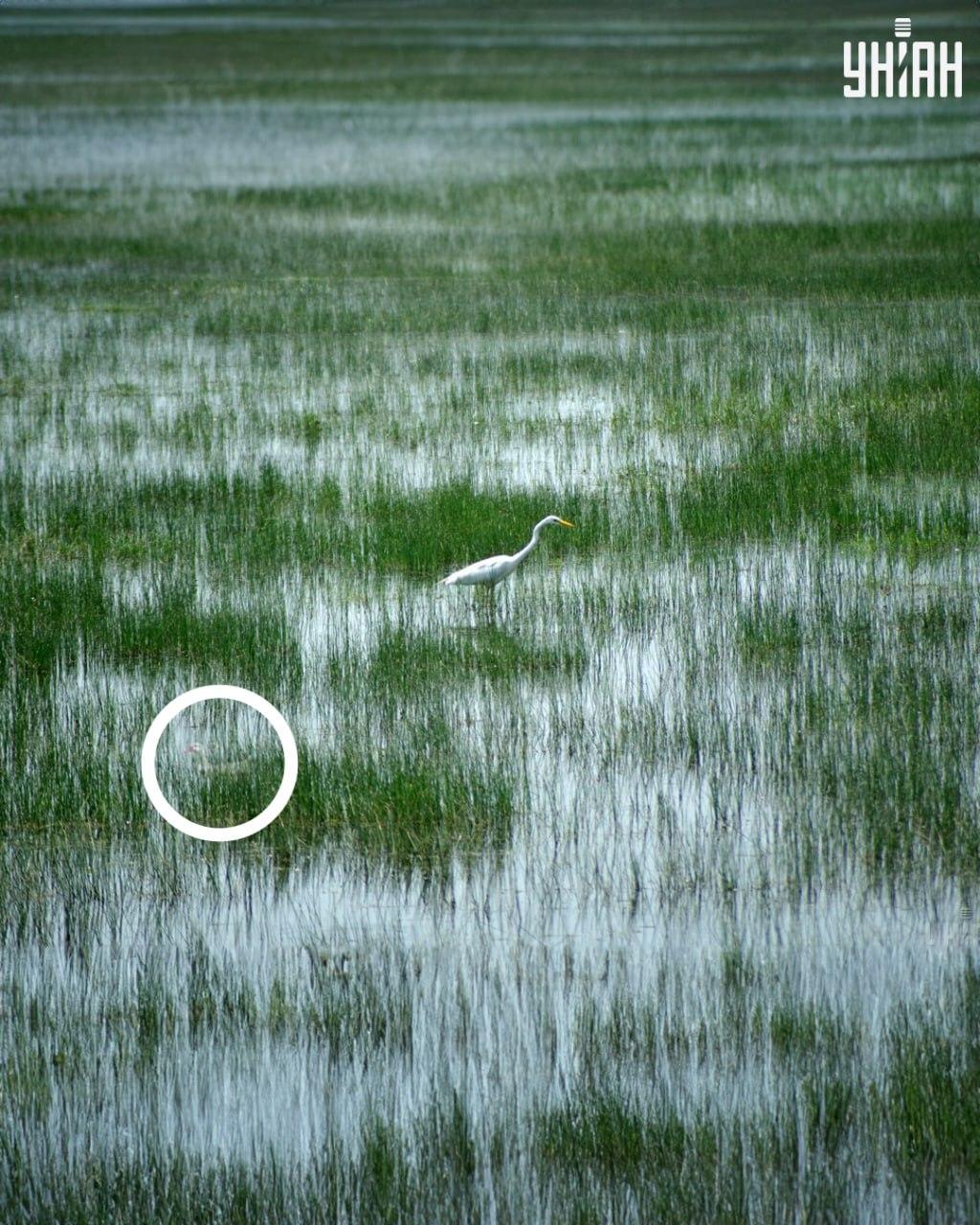 nuotrauka Moje nuotrauka Moje