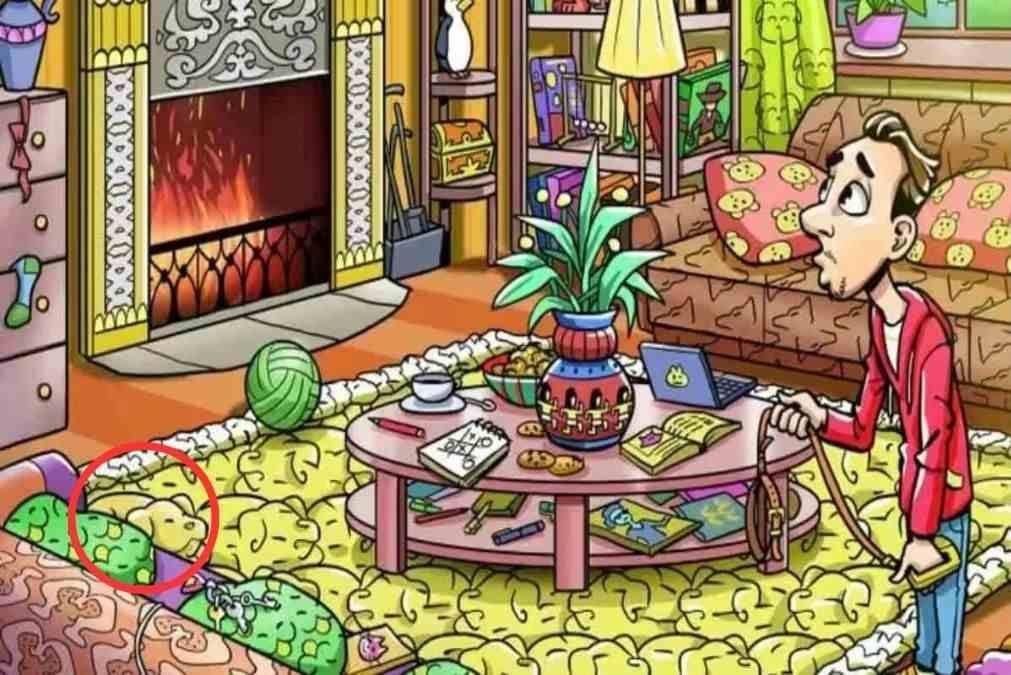 Atsakyti / jagranjosh.com Atsakyti / jagranjosh.com