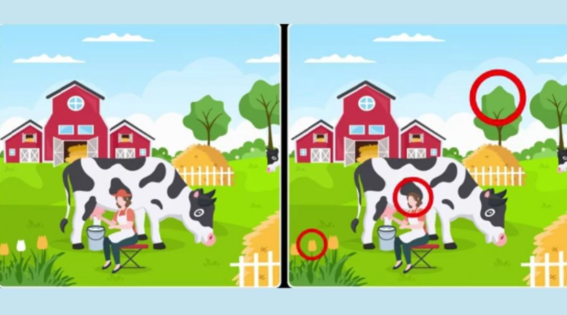 nuotrauka Fresherslive