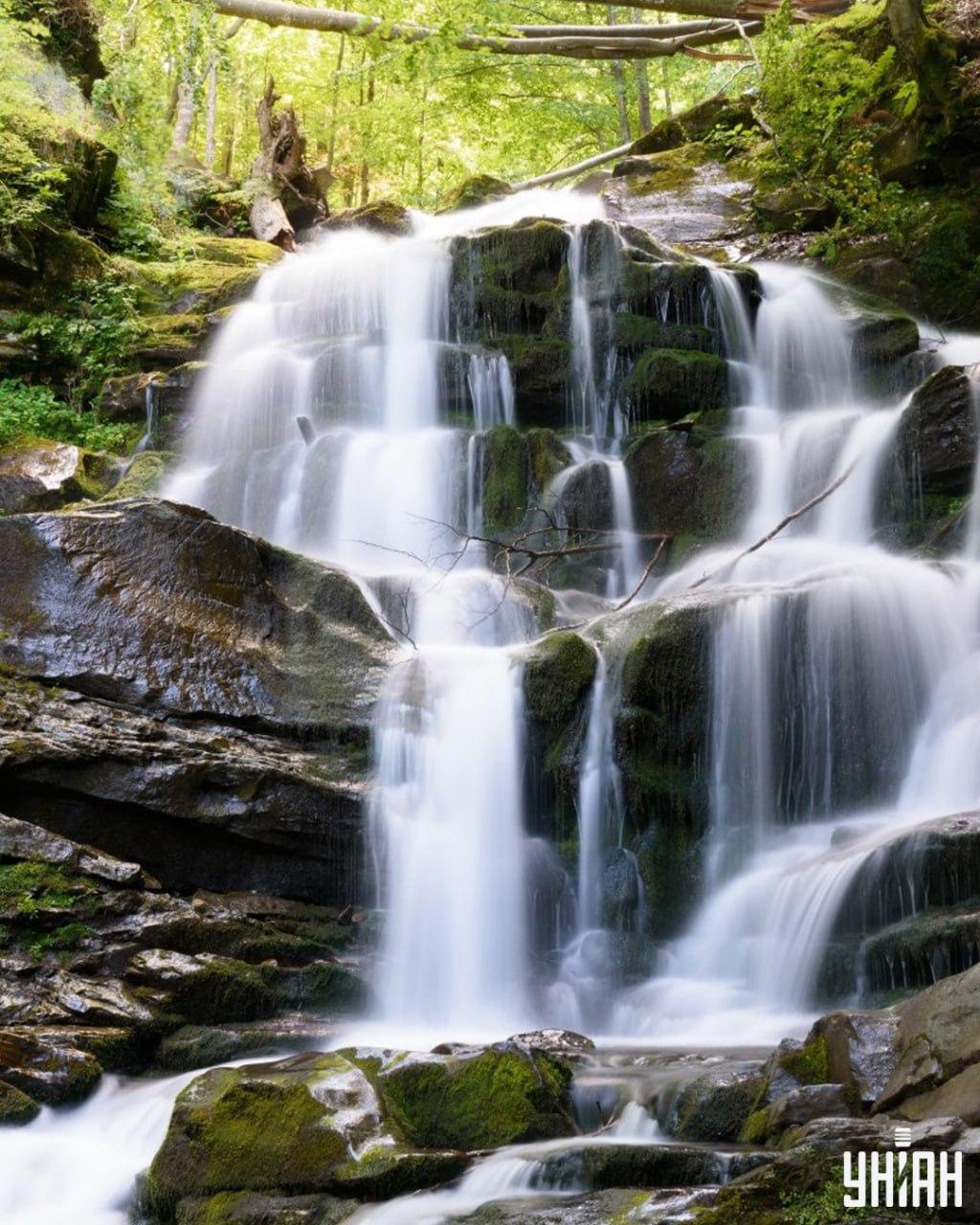 Turime rasti voverę ant sudėtingos galvosūkio / koliažo Moje