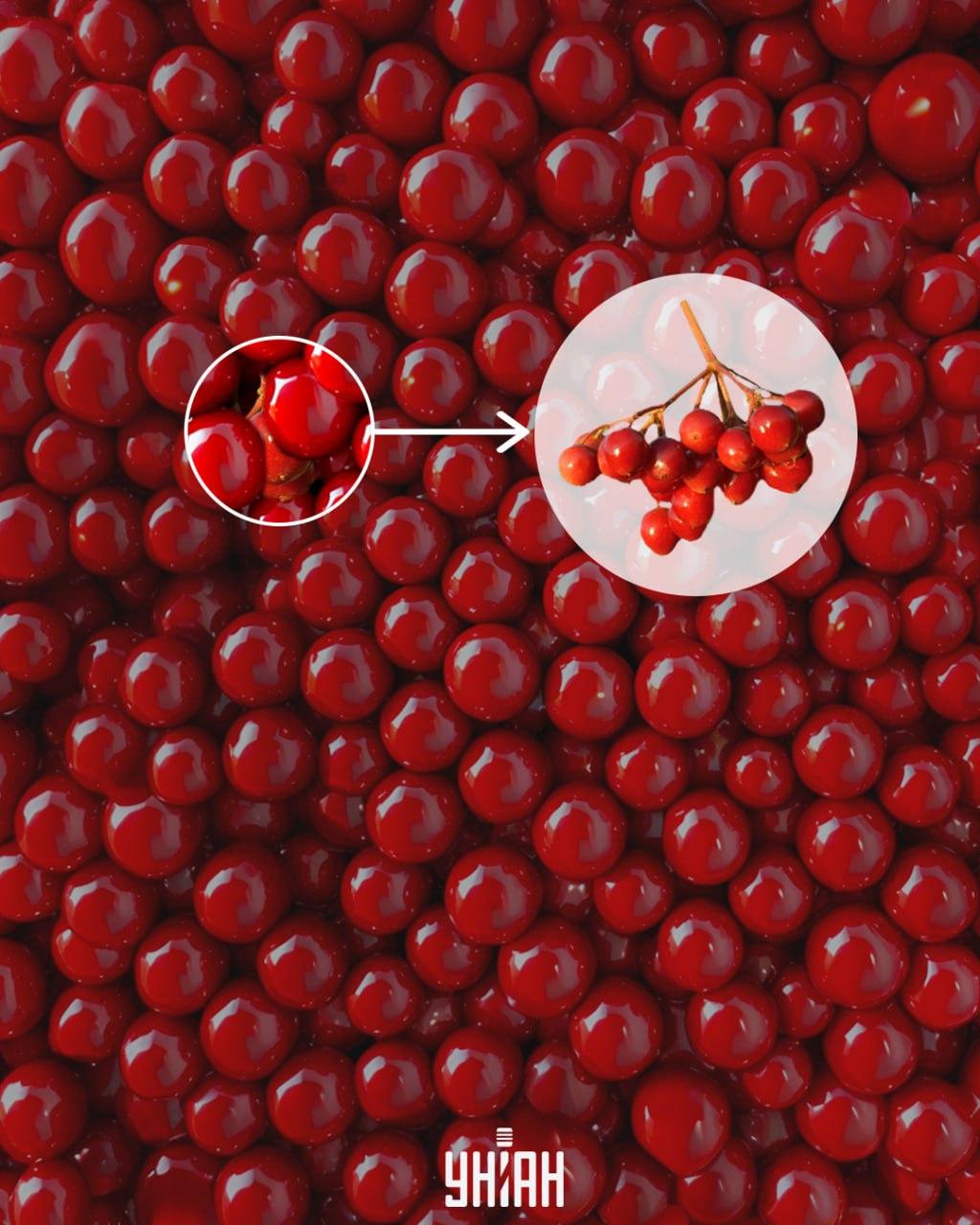 Kaliną buvo galima greitai rasti pastebėjus filialo / Moje koliažo dalį Kaliną buvo galima greitai rasti pastebėjus filialo / Moje koliažo dalį