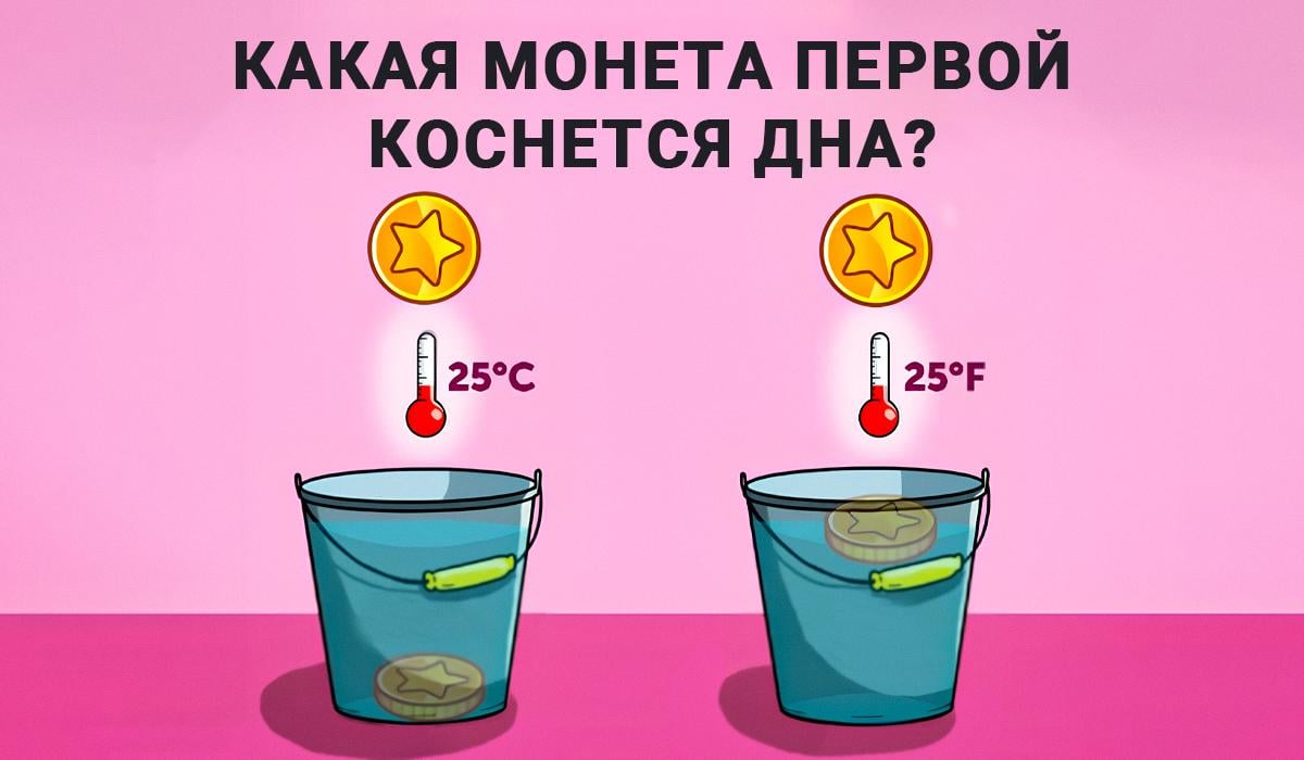 Atsakymas į IQ testą / Moje koliažą Atsakymas į IQ testą / Moje koliažą