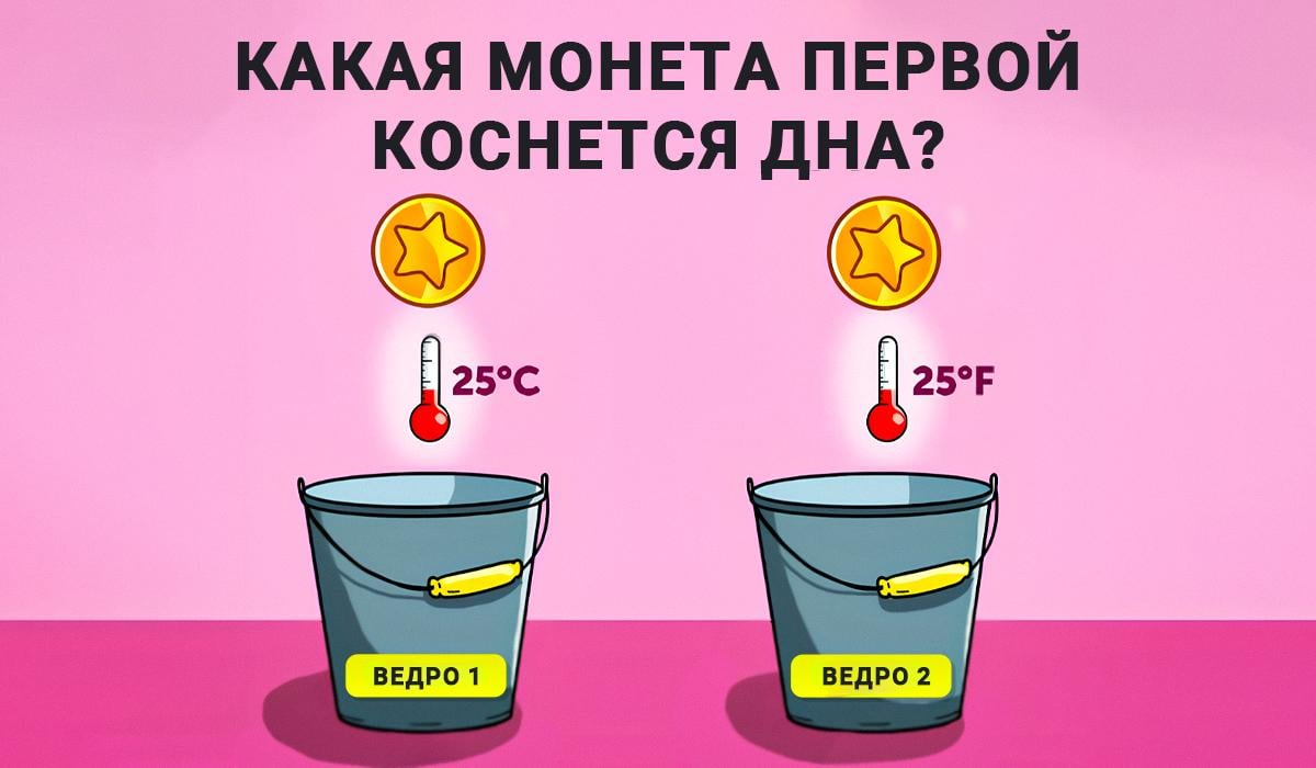 Intelekto testas ir fizikos žinios / koliažas Moje Intelekto testas ir fizikos žinios / koliažas Moje