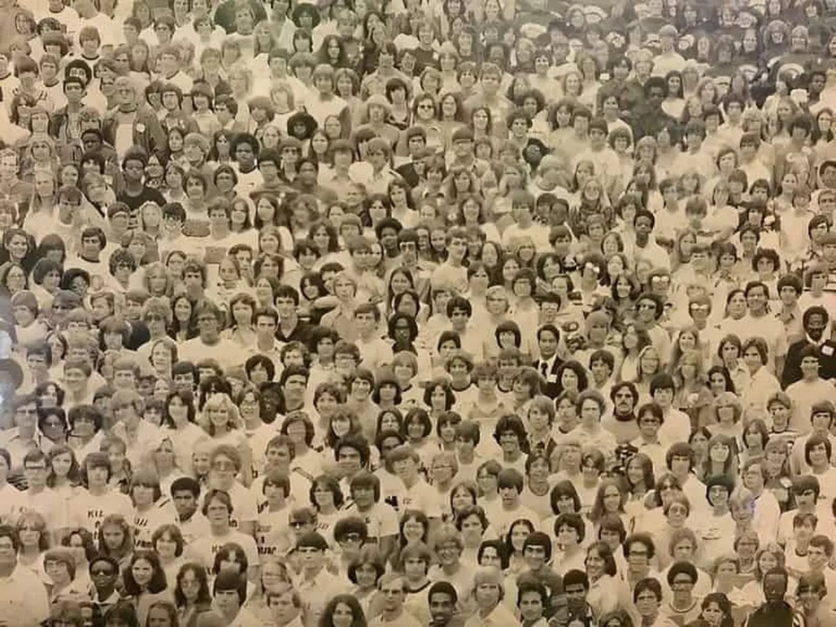 Dėlionė su panda Dėlionė su panda