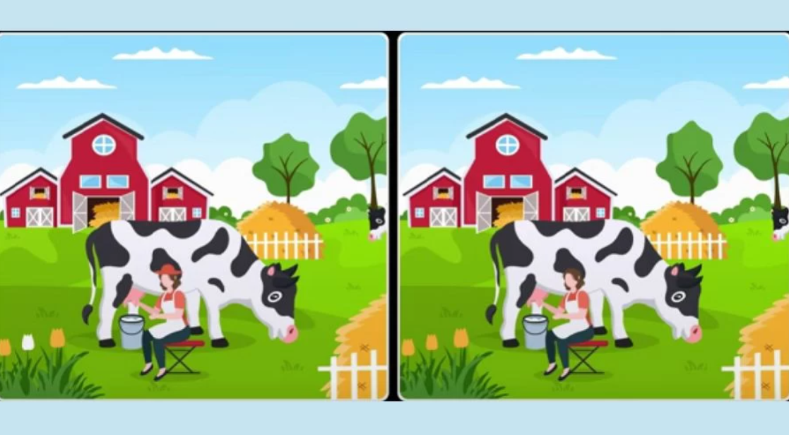 nuotrauka Fresherslive