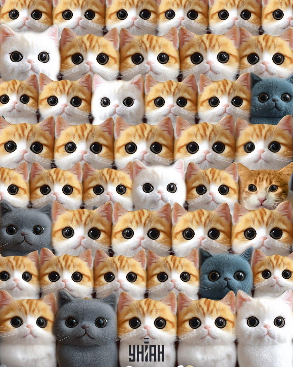 koliažas Moje koliažas Moje