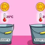 Kuri moneta pirmiausia palies dugną: sudėtinga mįslė dėmesingiausiems Kuri moneta pirmiausia palies dugną: sudėtinga mįslė dėmesingiausiems