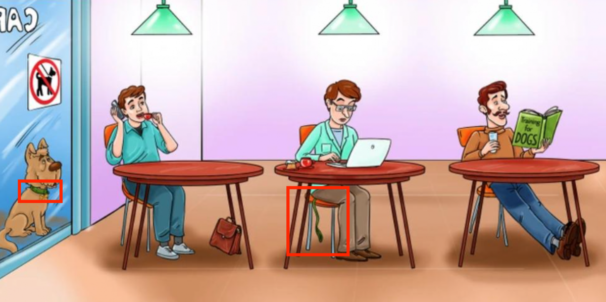 nuotrauka Šviesioji pusė