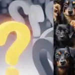 Raskite katę tarp dešimčių šunų greičiau nei per 10 sekundžių: intriguojantis galvosūkis Raskite katę tarp dešimčių šunų greičiau nei per 10 sekundžių: