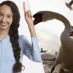 Tarp žuvėdrų ir gulbių per 9 sekundes reikia rasti gudrią