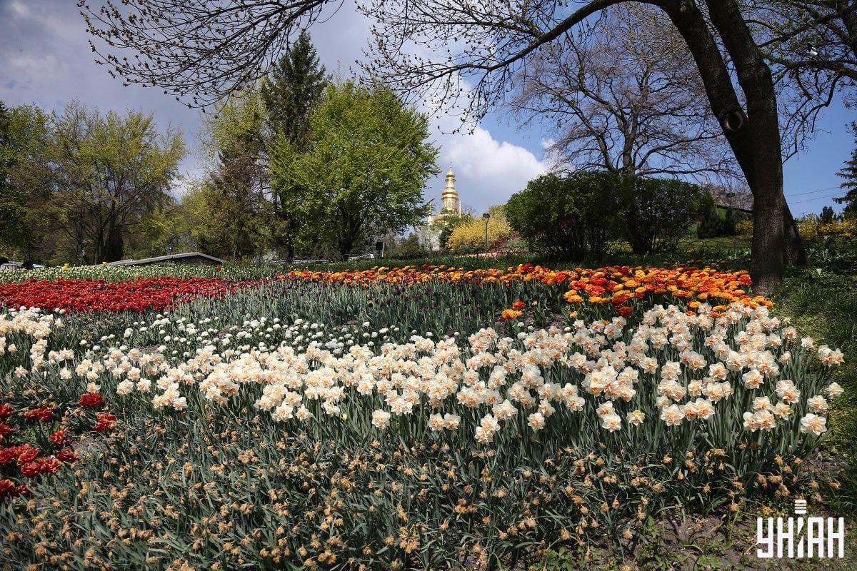 Raskite paukštį greičiau nei per 10 sekundžių / Moje koliažas