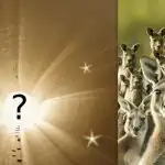 Visi mato kengūrą, bet tu turi rasti kiškį per 6